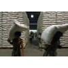 ZEOLITE POWDER