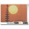 window screeding
