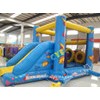 Standard Slide