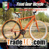 26 inch single speed mixed color fixie bike