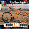 fixie bike 26 inch  fixed gear bike