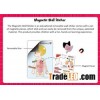 Magnetic educational wall sticker