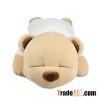 The music pillow