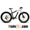2014 - K2 Sideshow Fat Bike