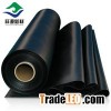 polyolefin foam