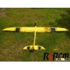 RC glider! full carbon Hornet rc airplane model! many color