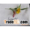 TC Plain or Poplin Pocketing Fabric 45*45 133*72 57/58"