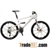 2013 GT Zaskar 100 Hans Rey Edition Mountain Bike