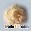 polyester fiber