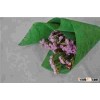 Flocked Nonwoven Sheet