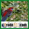 plastic bird mist nets, bird netting