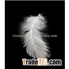 duck feather2-4cm