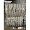 Cotton Gin Motes