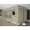 Mobile generator container