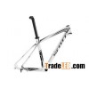 Scott Scale 20 2011 Frameset