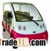 Electric Tourist Car