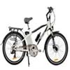 26”ELECTRIC CITY  EBIKE