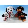 Plush Dogs