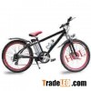 electric bike HQL-EB3022
