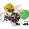 Capsule within Insect toys