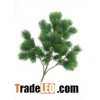 artificial leaves