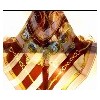 silk scarf women's scarf lady's scarves