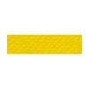 Cationic Yellow X-8GL