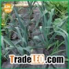 2014 new PP ground cover ,PP weeds mat,Weed control mats