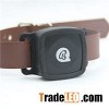 Pet Tracker