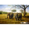 Elephants oil painting,100% hand painted
