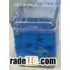 Seaworld jelly candle