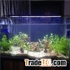 SMD 2835 DC20V LED Aquarium Hood Equipments