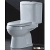 Ceramic Washdown Two-piece Toilet