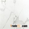 Building Material full body tile