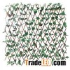Extendable Trellis With Leaves