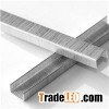 High Quality 21/4 Staples