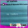 High Quality Knot Free Cluster Russian 2D Pre Made Volume Lashes Eyelash Extensions