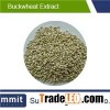 Buckwheat Extract/Wild Buckwheat Rhizome/ Tartarian Buckwheat Shell Extract/Fagopyrum esculentum Moe
