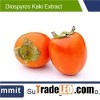 Diospyros Kaki Extract 5:1,Persimmon Leaf Extract,Kaempferol,Polyphenols and Flavonoids