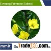 Evening primrose extract 10:1,Oenothera erythrosepala Borb , Biennis Seed
