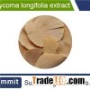 Eurycoma longifolia extract 10:1,Tongkat Ali Extract,Root