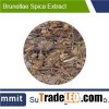 Brunellae Spica Extract 5:1, Prunella vulgaris L, Common Selfheal Fruit-spike Extract, Ajuga decumbe