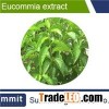 Eucommia leaves extract 10:1,bark ,Eucommia Ulmoides extract,Shiny Bugleweed Herb