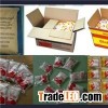 Monosodium Glutamate contain 99%/ 98%/65% food ingredients and seasonings