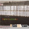 Duplex Board Grey/White Back
