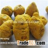 Dry Turmeric fingers