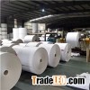 Coated Duplex Board Grey Back (230--500gram)