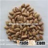 Light Speckled Kidney Beans (LSKB) Bulk Sugar Bean