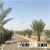 Super bright 5years warranty IP65 4200lm 30W Solar Street Light installed in 5 star hotel