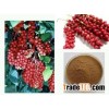 Factories supply pure natural Schisandra extract